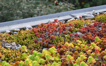 the cost of Whimple green roof installation