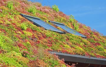 Whimple living roof systems
